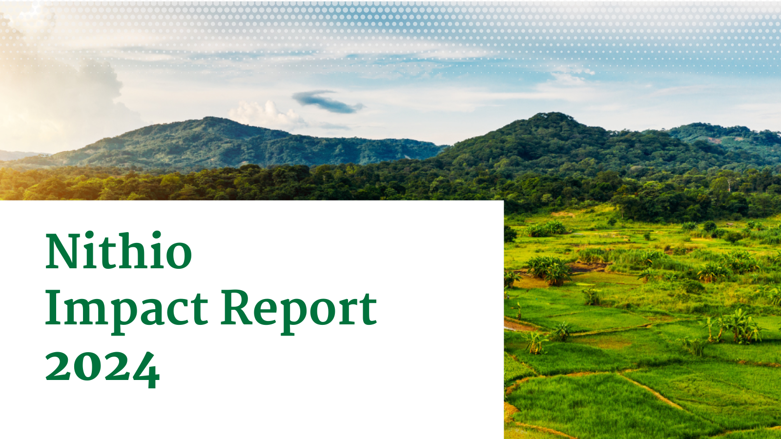 Impact Report website cover (1) Download Nithio Impact Report